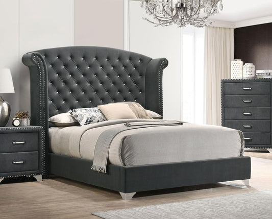 Melody Upholstered Queen Wingback Bed Grey ( Mattress not Included)